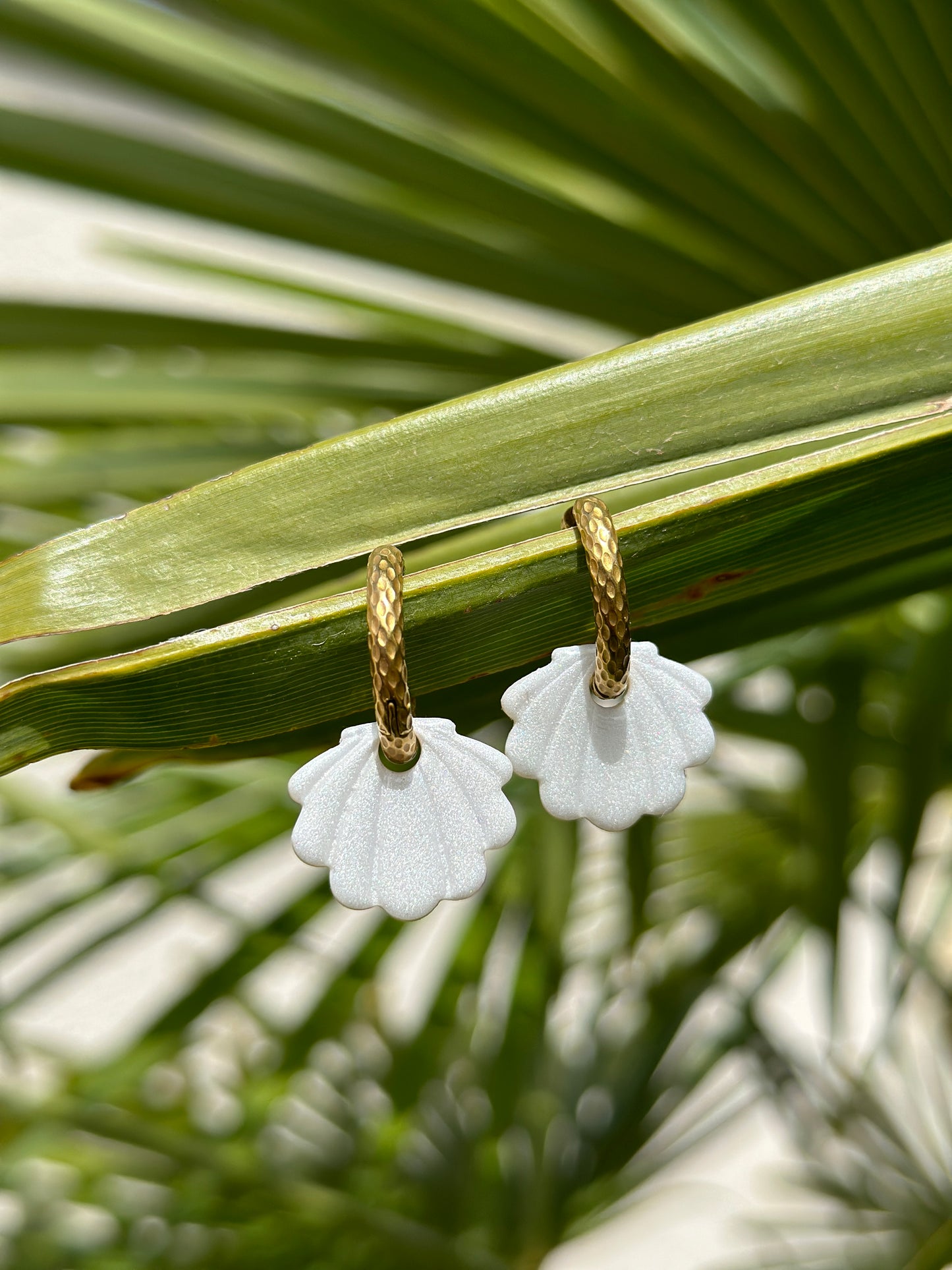 Boucles et Pampilles Coquillages