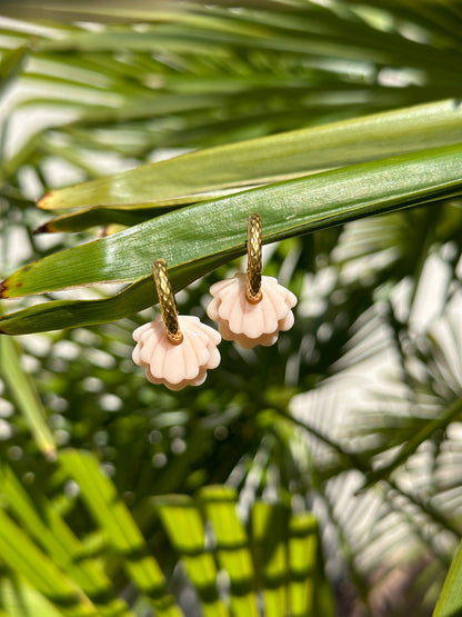 Boucles et Pampilles Coquillages