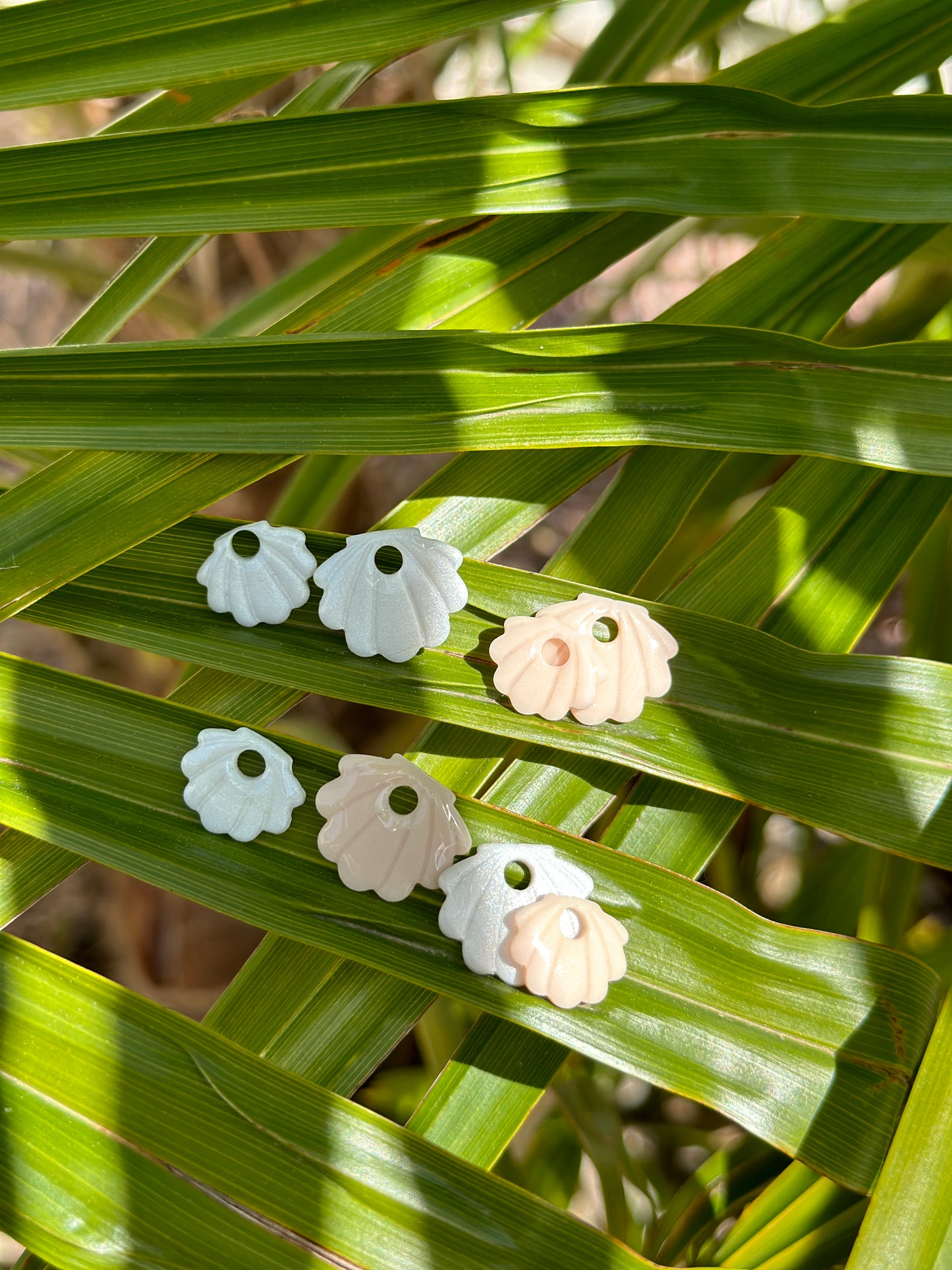 Boucles et Pampilles Coquillages